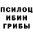 Галлюциногенные грибы MAGIC MUSHROOMS Ashley Dame