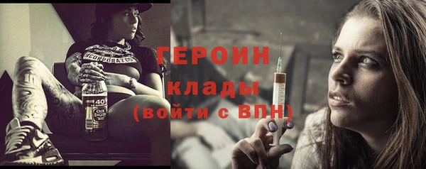 индика Каменногорск