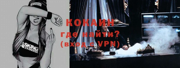 индика Каменногорск