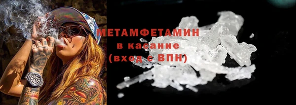 индика Каменногорск