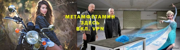 ПСИЛОЦИБИНОВЫЕ ГРИБЫ Каменка