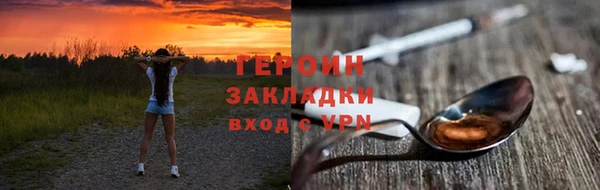 индика Каменногорск