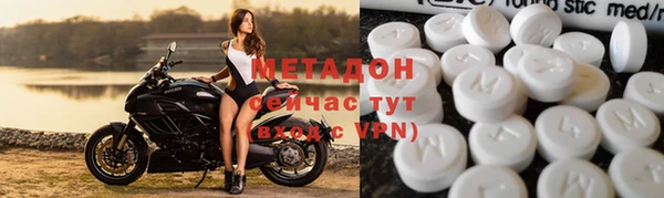 индика Каменногорск