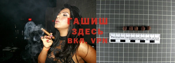 индика Каменногорск