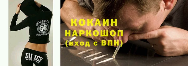 индика Каменногорск