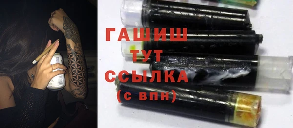 индика Каменногорск