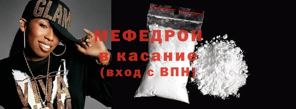 индика Каменногорск