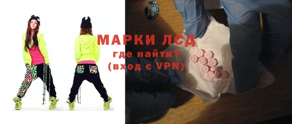 индика Каменногорск