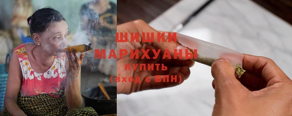 ПСИЛОЦИБИНОВЫЕ ГРИБЫ Каменка