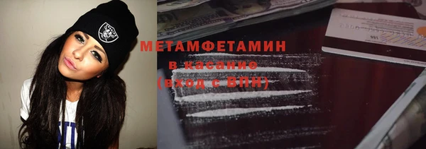 индика Каменногорск