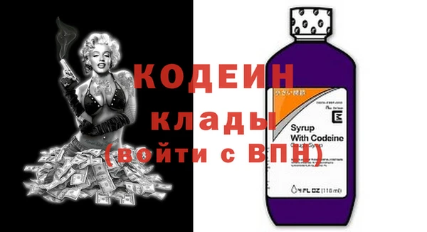 индика Каменногорск