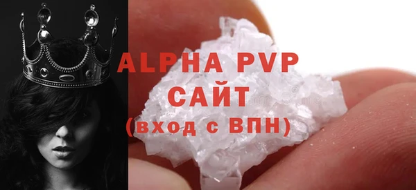 ПСИЛОЦИБИНОВЫЕ ГРИБЫ Каменка