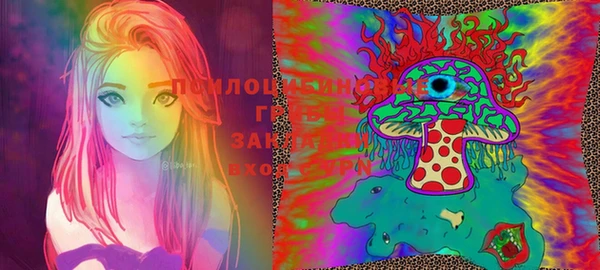 индика Каменногорск