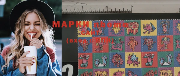 ПСИЛОЦИБИНОВЫЕ ГРИБЫ Каменка