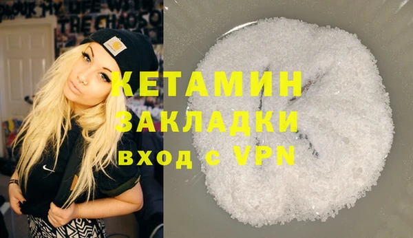 индика Каменногорск