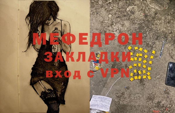 индика Каменногорск