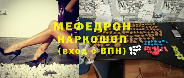 индика Каменногорск