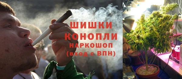 ПСИЛОЦИБИНОВЫЕ ГРИБЫ Каменка