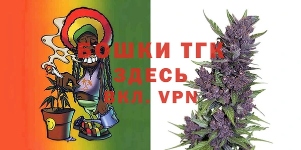 ПСИЛОЦИБИНОВЫЕ ГРИБЫ Каменка