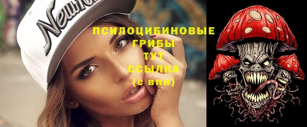 индика Каменногорск
