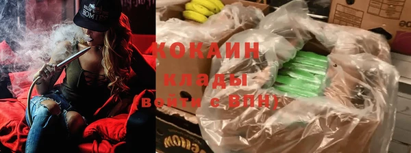 индика Каменногорск